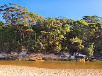 Sydney Woollongong and Kiama tour (Private)