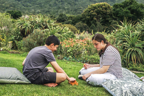 Cape Town: Kirstenbosch Gardens Picnic with Entry Ticket