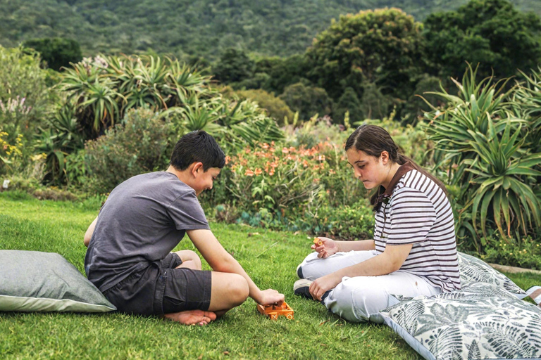 Cape Town: Kirstenbosch Gardens Picnic with Entry Ticket
