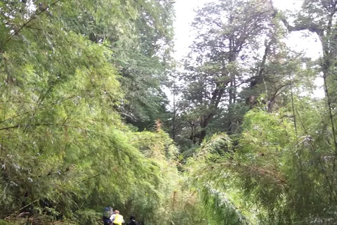 Huerquehue National Park full day