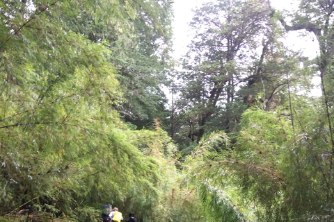 Parque Nacional Huerquehue dia inteiro