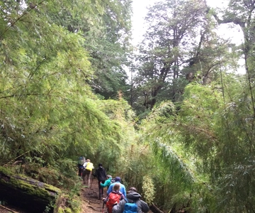 Parque Nacional Huerquehue dia inteiro
