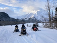 Seward, Kenai Fjords National Park Guided Snowmobiling Tour - Hizvo
