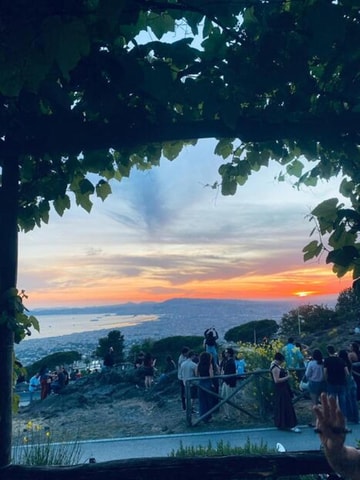 Pompeii Tour with Ticket and Panoramic Stop on Vesuvius from Naples