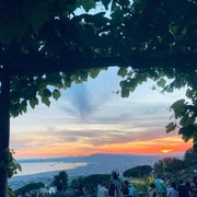 Tour Pompei con Biglietto e Sosta Panoramica sul Vesuvio da Napoli