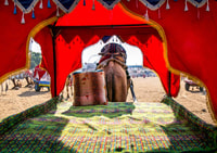 Holy Pushkar and Ajmer Trails (Guided Full Day Tour) - Housity