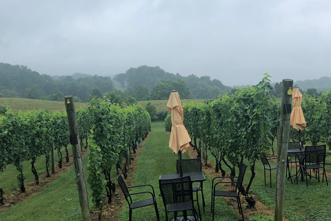 Washington DC: Tour della cantinaDa Washington DC: Tour della cantina (tre cantine)