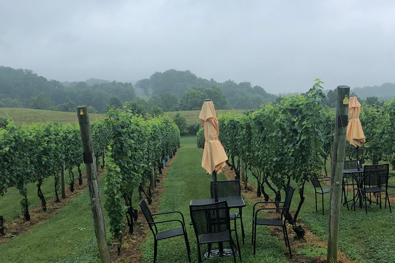 Washington DC: Tour della cantinaDa Washington DC: Tour della cantina (tre cantine)