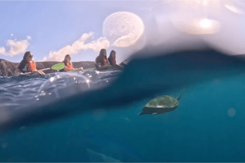 Tenerife: Turtle Bay - Kayak Rental with Drink and Equipment