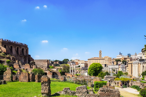 Rome: Colosseum, Roman Forum & Palatine Hill Tour Colosseum, Forum, and Palatine Hill Guided Tour in Italian