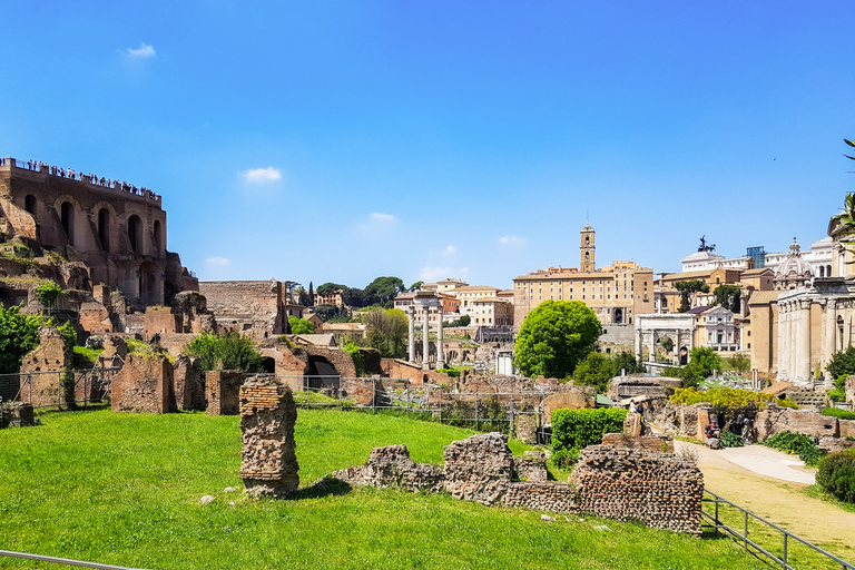 Rome: Colosseum, Roman Forum & Palatine Hill Tour Colosseum, Forum, and Palatine Hill Guided Tour in Italian
