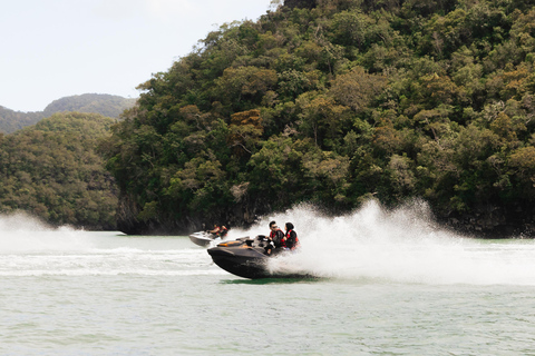 Jetski Langkawi - Esplora le mangrovie e la vista dell&#039;isola di TubaPilota singolo (1 persona/scivolo)