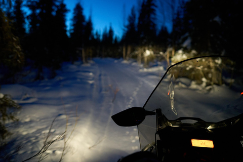 Levi: Aurora Hunting in Heated Sleigh Levi: Aurora Hunting, Sleigh ride