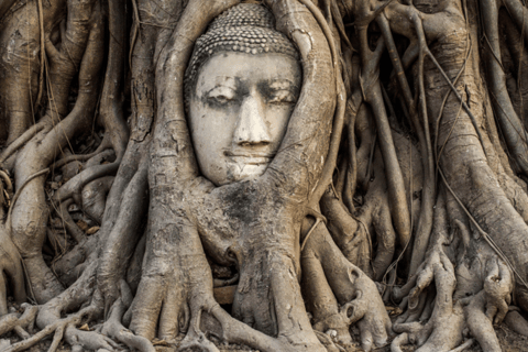 Ayutthaya : Visite guidée privée d&#039;une journée à 4 endroits remarquables !