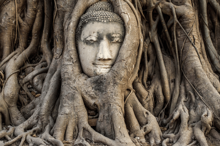 Ayutthaya : Visite guidée privée d&#039;une journée à 4 endroits remarquables !