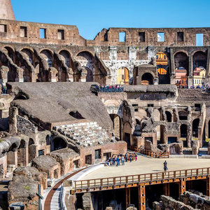 Rome: Colosseum Gladiator Floor Access & Roman Forum Tour