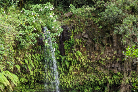 قم بزيارة جبل العنبر: أنتسيرانانا مدغشقر