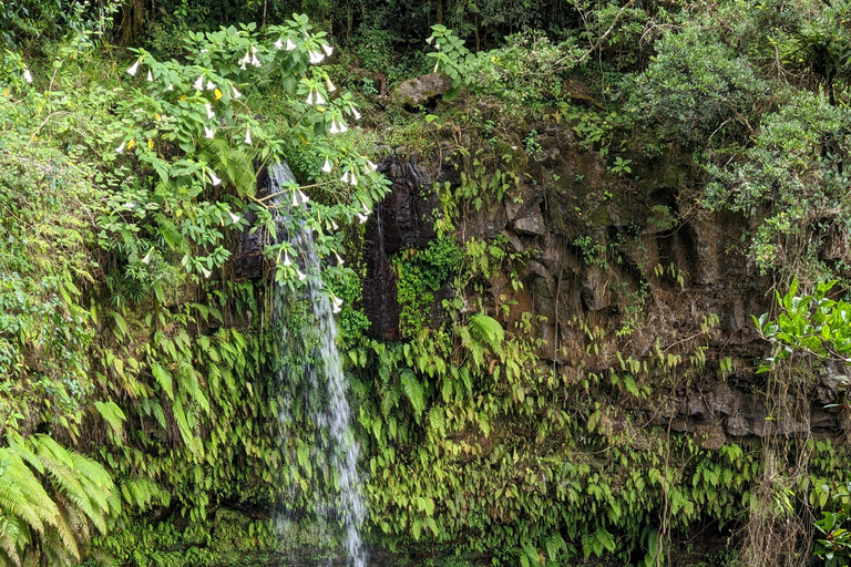 قم بزيارة جبل العنبر: أنتسيرانانا مدغشقر