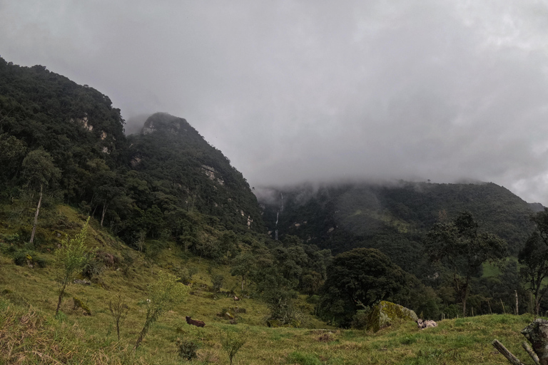 Bogotá: Private La Chorrera Waterfall Hike with Lunch