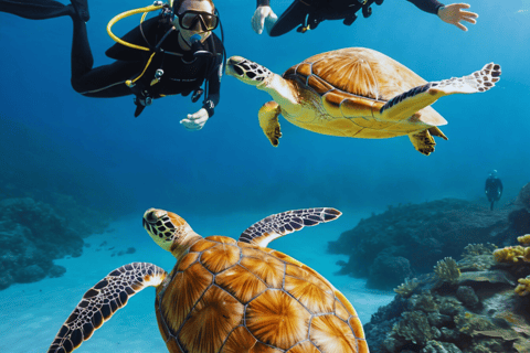 Zanzibar: avventura subacquea sulla barriera corallina di Mnemba