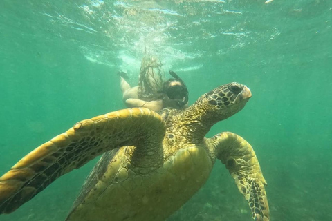 From Isabela Island: Tunnels Boat Tour and Snorkeling Trip