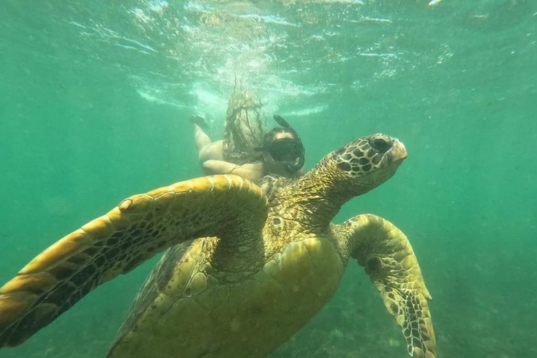 From Isabela Island: Tunnels Boat Tour and Snorkeling Trip