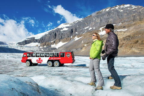 Da Banff: Escursione di un giorno al ghiacciaio Athabasca e al Columbia Icefield