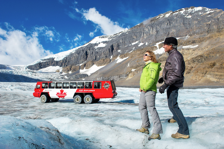 Depuis Banff : Excursion d'une journée au glacier Athabasca et au champ de glace Columbia