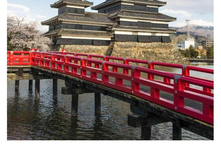 Da Tokyo e Nagano: Tour privato di lusso di 1 giorno con le scimmie della neve