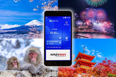 Kyushu: ritiro WiFi mobile all'aeroporto nazionale di Kagoshima