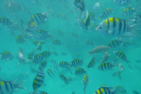 Sansibar: Schnorcheln auf der Insel Nkupenda mit Mittagessen