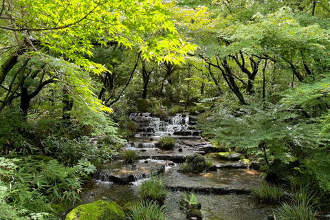 Himeji: Discover Every Bit of Himeji Castle Guided tour of Himeji Castle and Koko-en garden