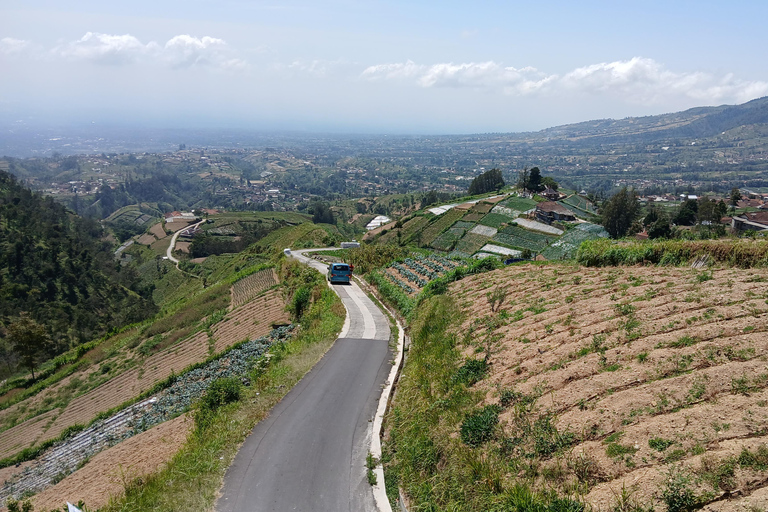 日惹：租用豪华车蜜月之旅日惹：租用豪华车，享受蜜月之旅