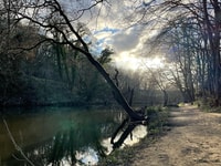 Saltaire, Half-Day Guided Walking Tour - Housity