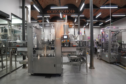 Reims Champagne Tour: Cathedral & Christmas Market Premium Minivan (1–7 PX)