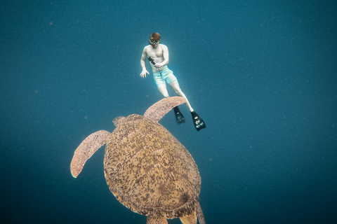 De Gili Air : Snorkeling com tartarugas e estátua subaquáticaViagem privada de snorkeling - 4 horas