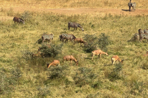 Diani/Mombasa: 2 Days to Tsavo East & Tsavo West with meals