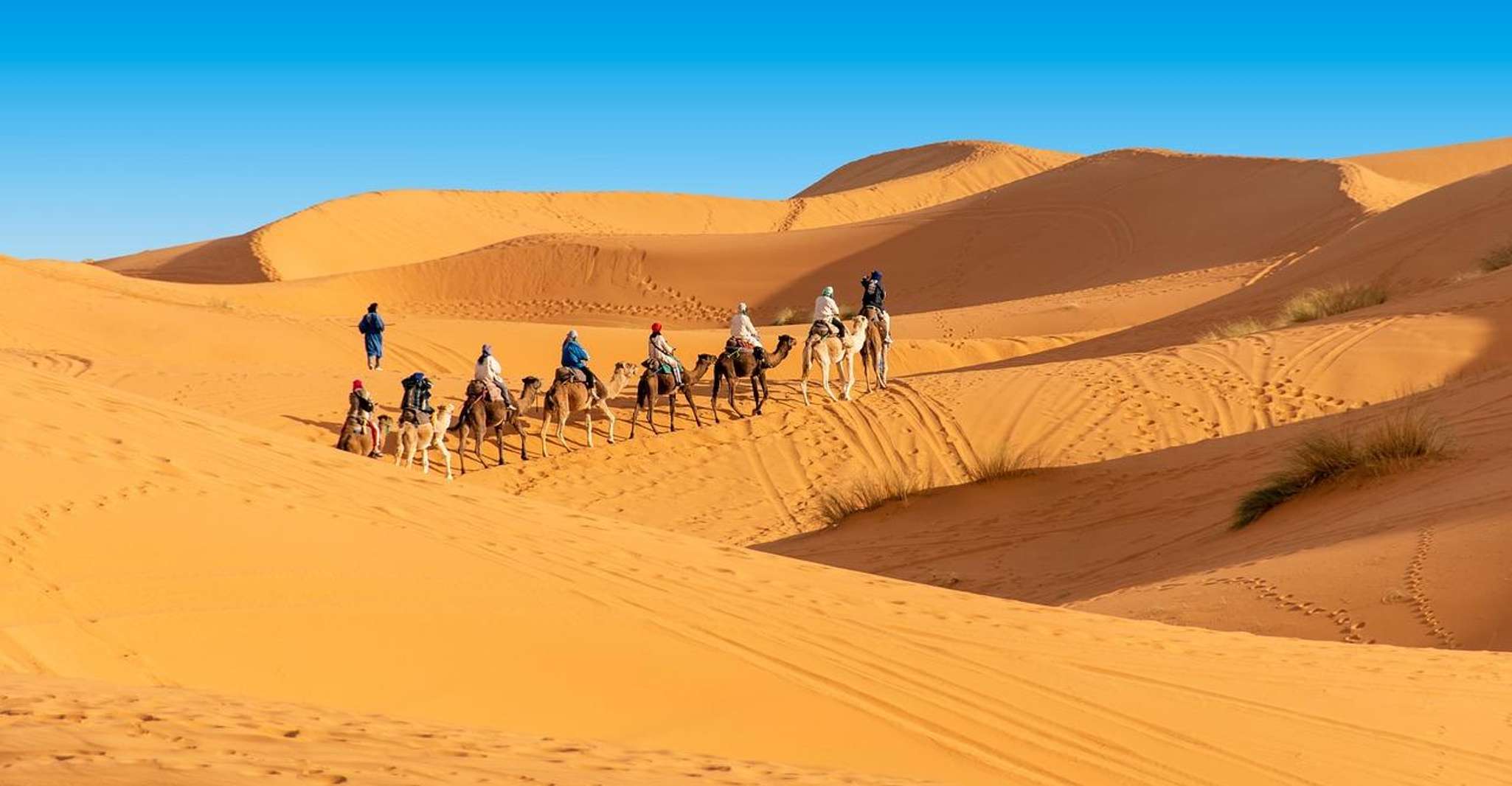 Ouarzazate、Merzouga Sahara Desert Tour -2日 - Housity