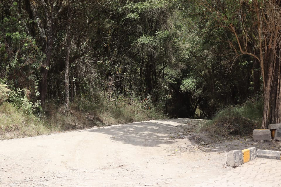 Guided Mount Kilimanjaro 1 Day Hike to Rongai Gate-KE to TZ | GetYourGuide