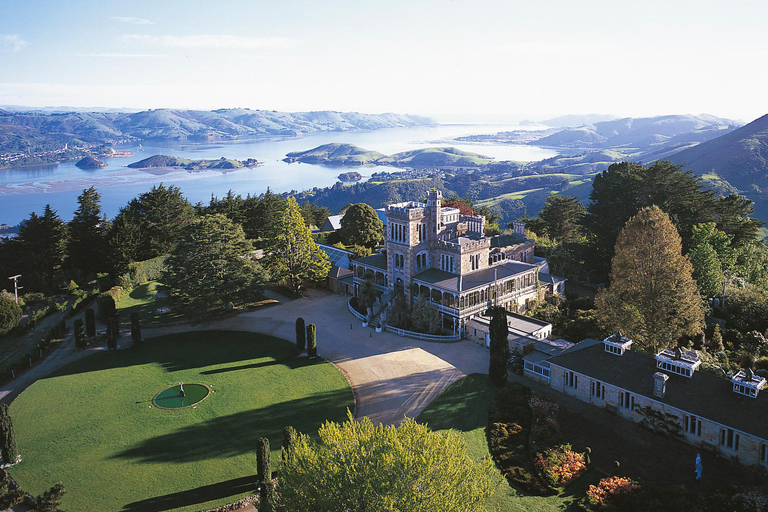 Port Chalmers: Larnach Castle, City Sights & Otago Peninsula