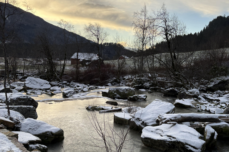 Bergen: Stegastein, Viking Village, Flåm & Nærøyfjord Cruise