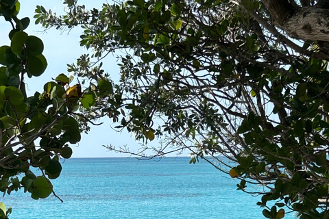 007-Mañana Todo Incluido Nadar con Cerdos en la Isla Rosa007 Todo Incluido-Nadar con cerdos en la Isla Rosa