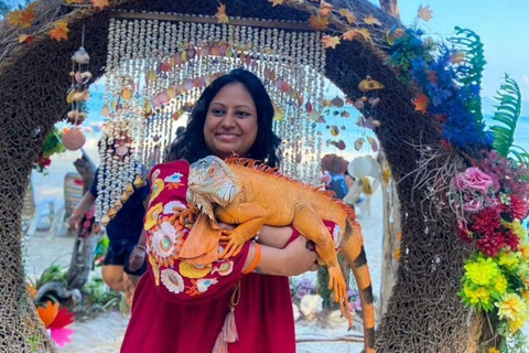 Phuket: James Bond Island Sea Canoe with Sunset by Big Boat Day Trip with Shared Transfer Excluding National Park Fee