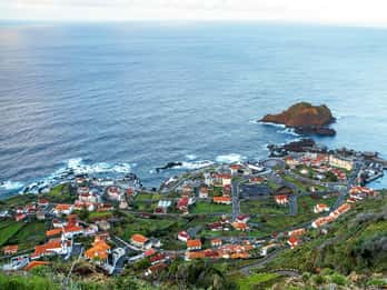 Câmara de Lobos, Pico da Torre, and Porto Moniz Tour