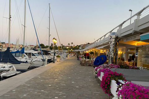 Nice: Menton, Monaco & Cap Ferrat Private Luxury Tour
