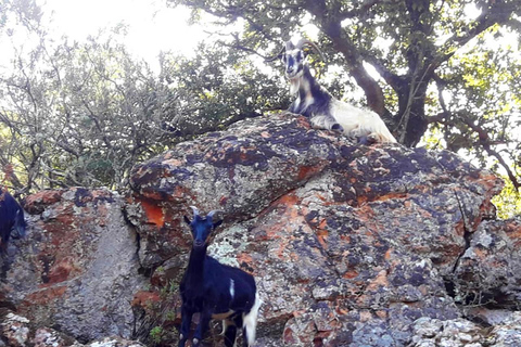 Moitié Terre, Moitié MerCompleet Corsica