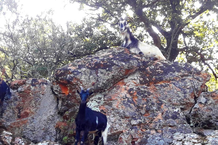 Moitié Terre, Moitié MerCompleet Corsica