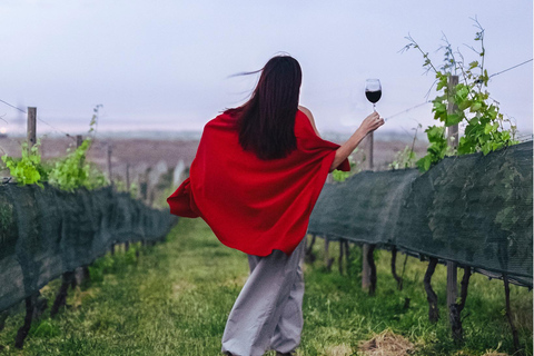 Yerevan: Ashtarak Old Town Tour & Wine Tasting