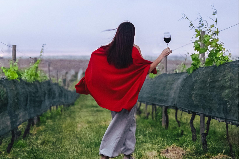 Yerevan: Ashtarak Old Town Tour & Wine Tasting