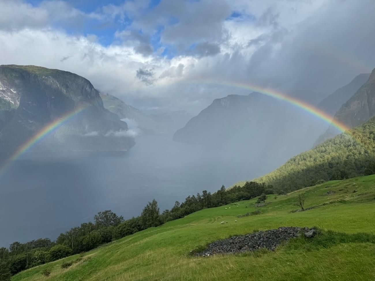 Flåm: Tour nach Stegastein, Lærdal und zur Stabkirche Borgund
